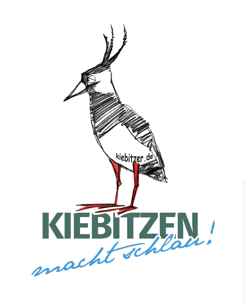 Kiebitzen. einfach mal neugierig sein